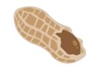 Peanut Allergen